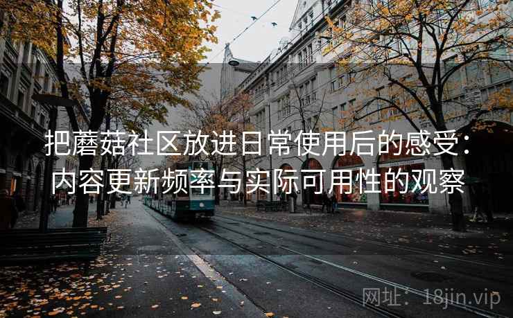 把蘑菇社区放进日常使用后的感受：内容更新频率与实际可用性的观察