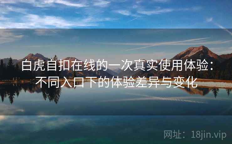 白虎自扣在线的一次真实使用体验：不同入口下的体验差异与变化
