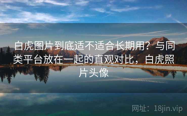 白虎图片到底适不适合长期用？与同类平台放在一起的直观对比，白虎照片头像