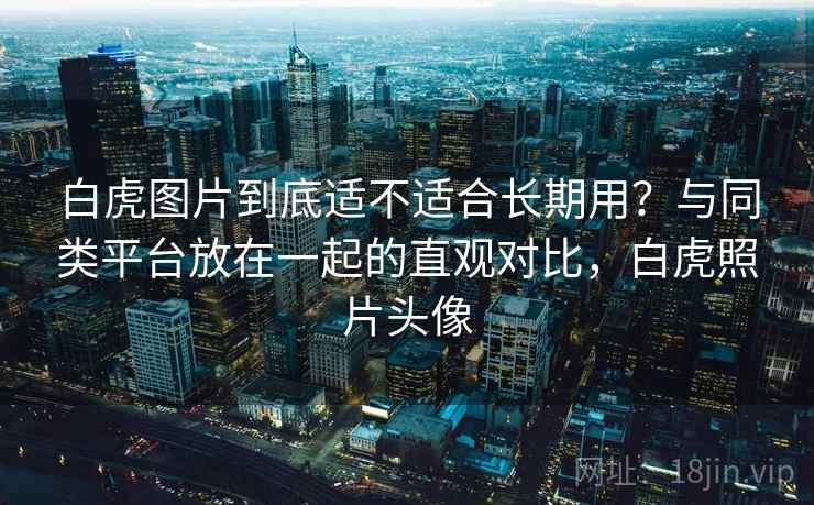 白虎图片到底适不适合长期用？与同类平台放在一起的直观对比，白虎照片头像