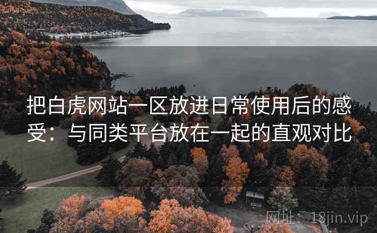把白虎网站一区放进日常使用后的感受：与同类平台放在一起的直观对比