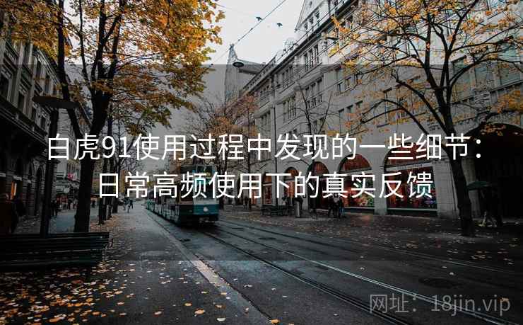 白虎91使用过程中发现的一些细节：日常高频使用下的真实反馈