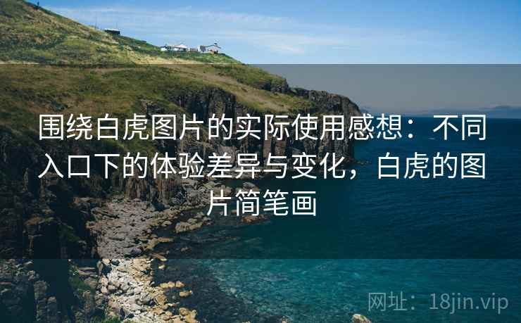 围绕白虎图片的实际使用感想：不同入口下的体验差异与变化，白虎的图片简笔画