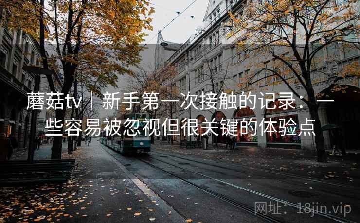 蘑菇tv｜新手第一次接触的记录：一些容易被忽视但很关键的体验点