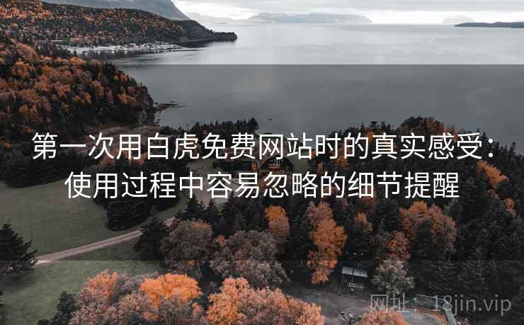 第一次用白虎免费网站时的真实感受：使用过程中容易忽略的细节提醒