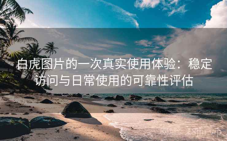 白虎图片的一次真实使用体验：稳定访问与日常使用的可靠性评估