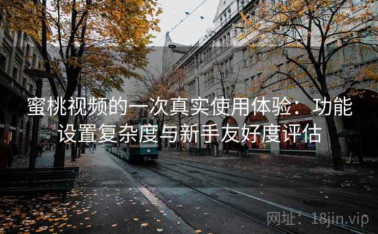蜜桃视频的一次真实使用体验：功能设置复杂度与新手友好度评估