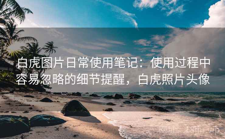 白虎图片日常使用笔记：使用过程中容易忽略的细节提醒，白虎照片头像
