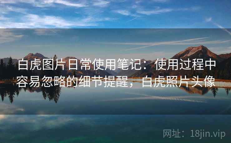 白虎图片日常使用笔记:使用过程中容易忽略的细节提醒,白虎照片头像 白虎图片日常使用笔记:使用过程中容易忽略的细节提醒,白虎照片头像