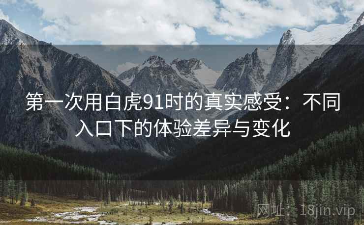 第一次用白虎91时的真实感受：不同入口下的体验差异与变化