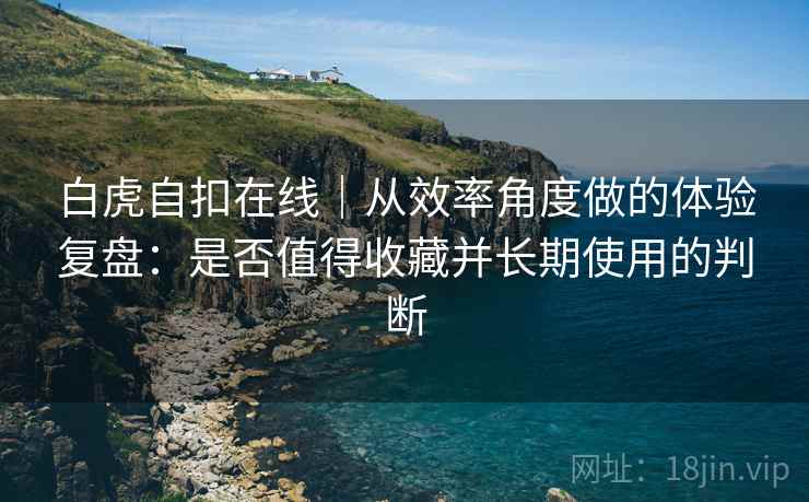 白虎自扣在线｜从效率角度做的体验复盘：是否值得收藏并长期使用的判断
