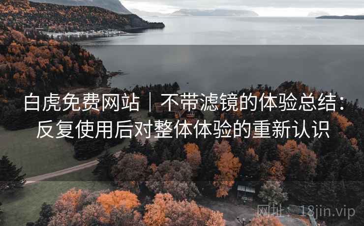 白虎免费网站｜不带滤镜的体验总结：反复使用后对整体体验的重新认识