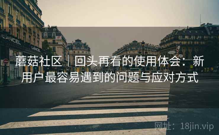 蘑菇社区｜回头再看的使用体会：新用户最容易遇到的问题与应对方式