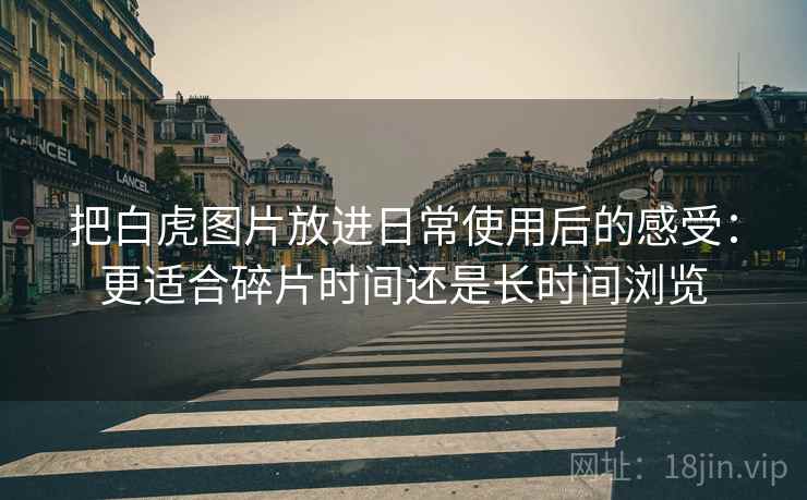 把白虎图片放进日常使用后的感受：更适合碎片时间还是长时间浏览