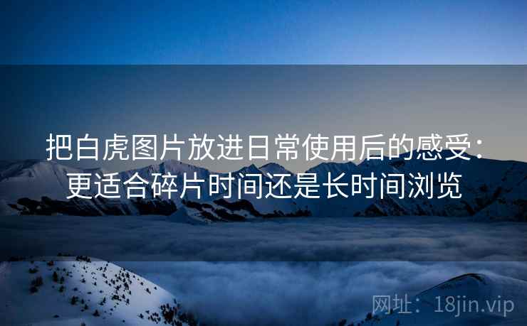 把白虎图片放进日常使用后的感受：更适合碎片时间还是长时间浏览