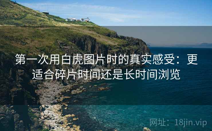 第一次用白虎图片时的真实感受：更适合碎片时间还是长时间浏览